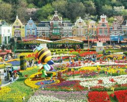 HÀN QUỐC: SEOUL - EVERLAND - ĐẢO NAMI