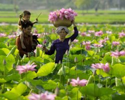 Tràm Chim - Gáo Giồng