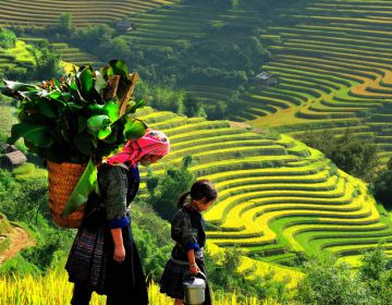 Hà Nội - Lào Cai - Sapa