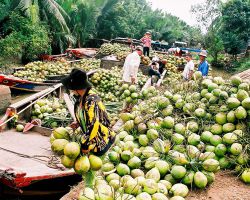 Mỹ Tho Đại Phố, Tiền Giang – Bến Tre