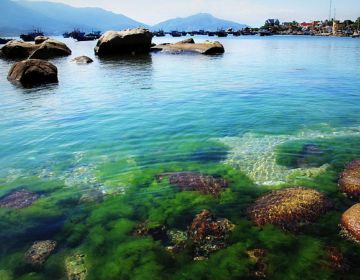 DU LỊCH ĐẢO BÌNH BA - NHA TRANG