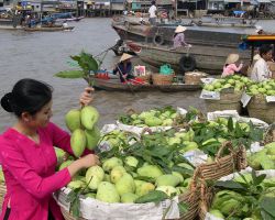 Mỹ Tho Đại Phố, Tiền Giang – Bến Tre